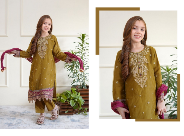 Shanzey Embroidered Girls Outfit