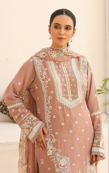 Fancy CHiFFON Embroidered STITCHED Collection