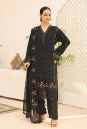 Fancy CHiFFON Embroidered STITCHED Collection