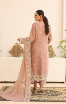 Fancy CHiFFON Embroidered STITCHED Collection