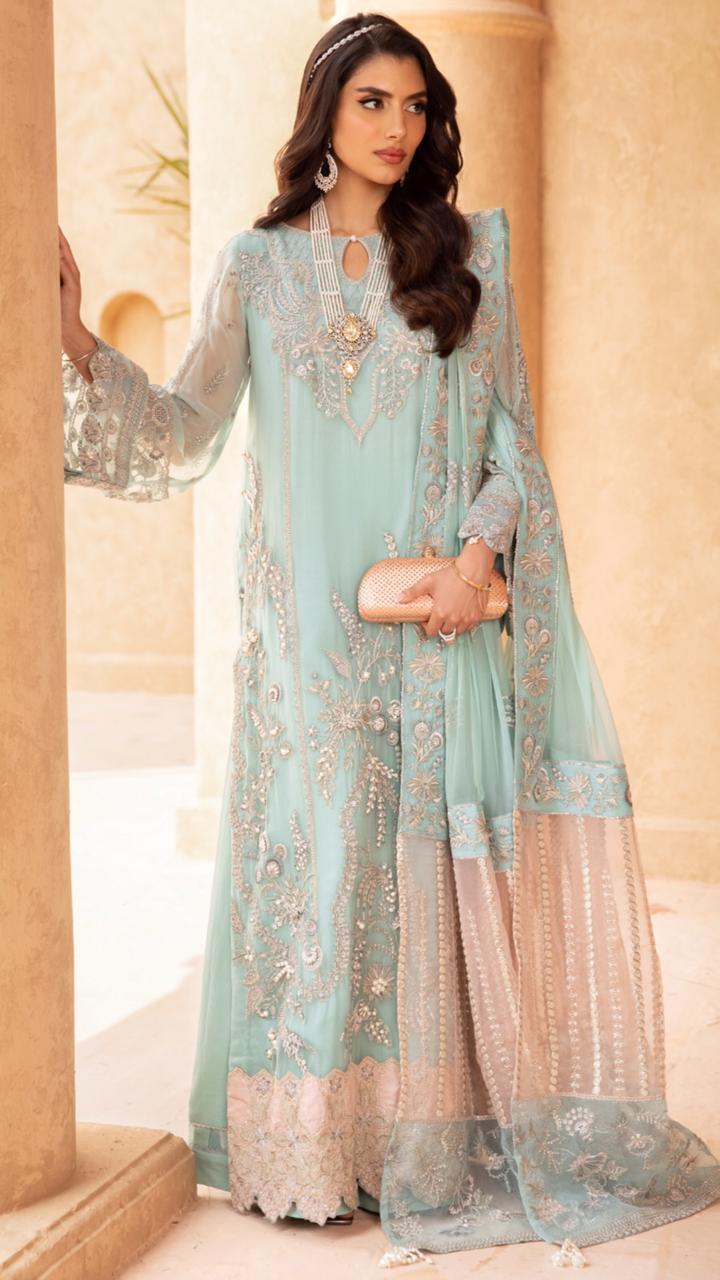 Beautiful Chiffon Suit