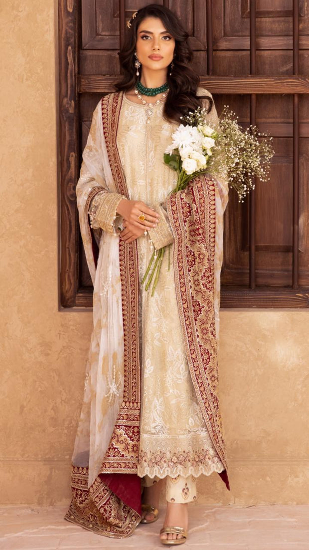 Beautiful Chiffon Suit