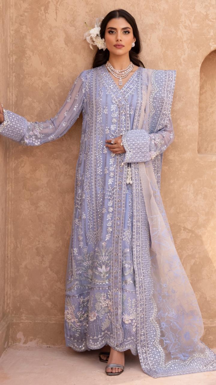 Beautiful Chiffon Suit