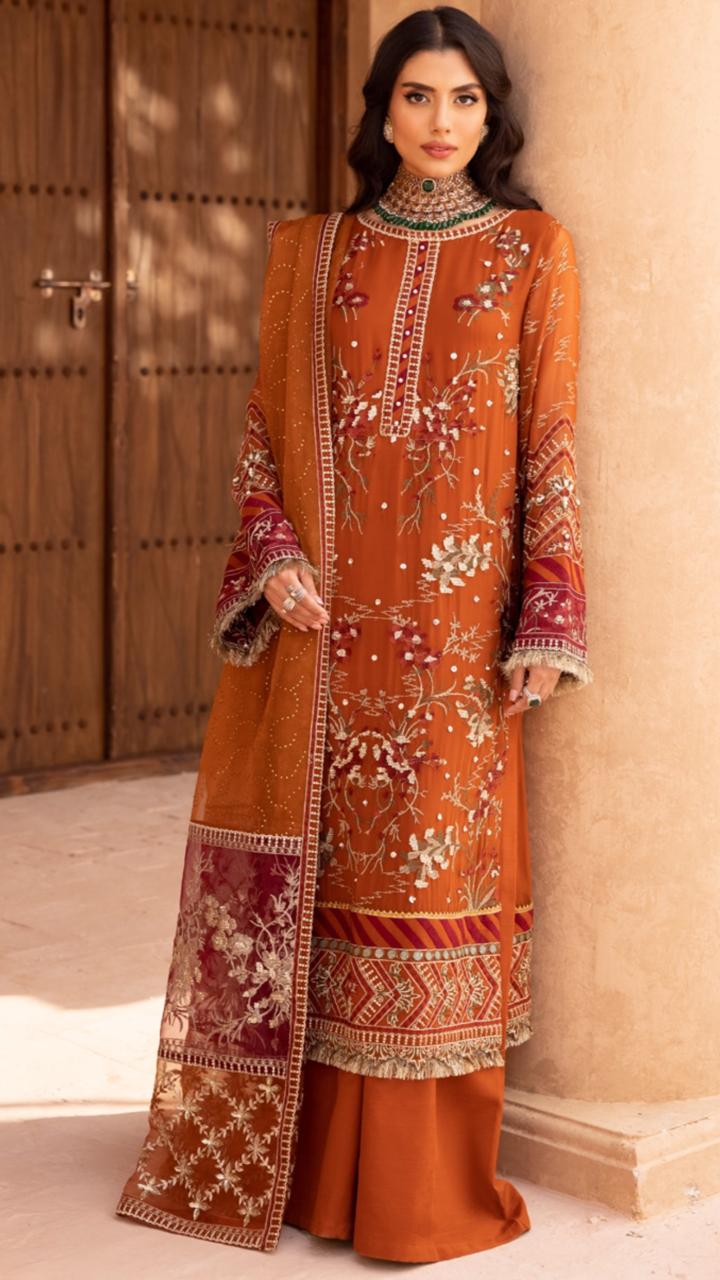 Beautiful Chiffon Suit